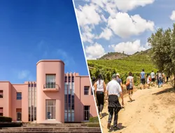 Combo (Save 10%): Serralves Foundation Tickets + Douro Valley Tour